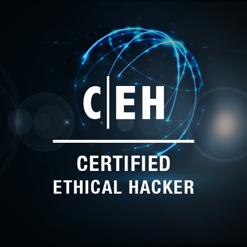 Take my Certified Ethical Hacker (CEH) test for me, Take my Certified Ethical Hacker (CEH) exam for me