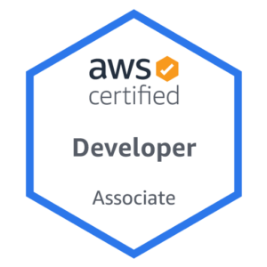 AWS-Certified-Developer-Associate Test Practice